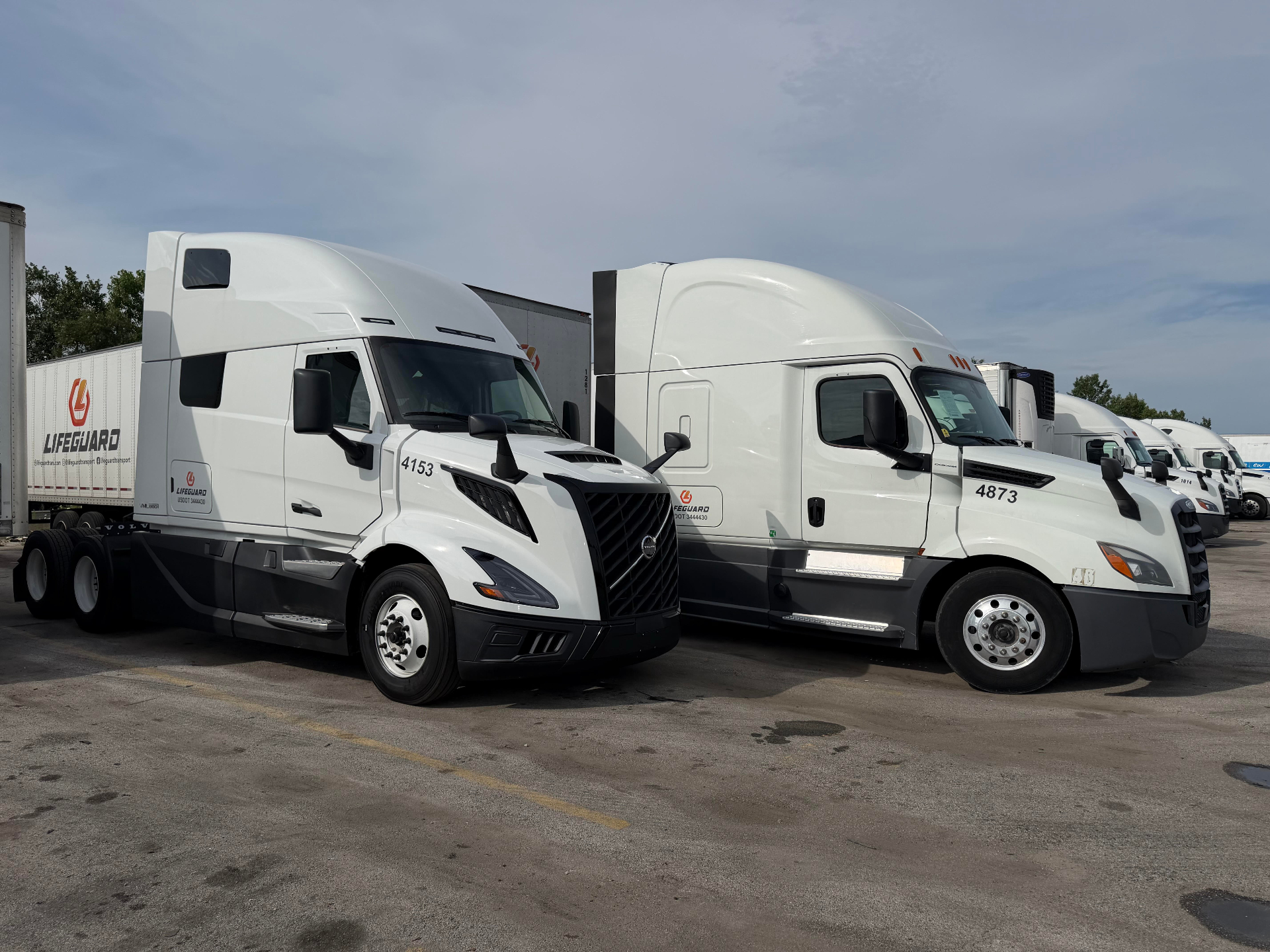 Lifeguard Transportation truck fleet lined up